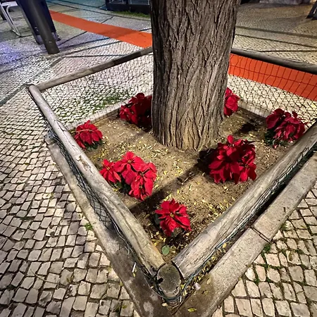 Apartman Ferias Tranquilas A 1km Da Totalmente Renovado *