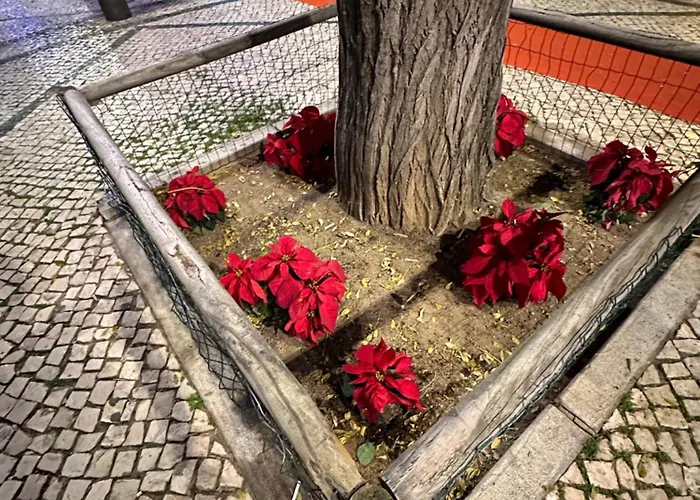 Apartman Ferias Tranquilas A 1km Da Totalmente Renovado *